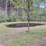 Arktik Lesni Mlyn Novy Rychnov